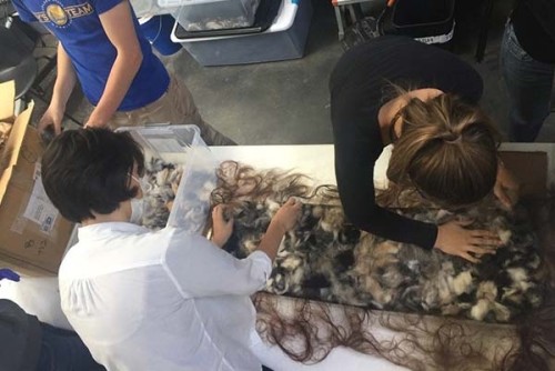 Ρεστία gallery image 5